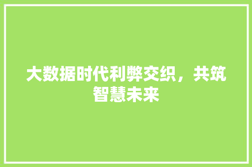 大数据时代利弊交织，共筑智慧未来  第1张