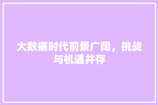 大数据时代前景广阔，挑战与机遇并存  第1张