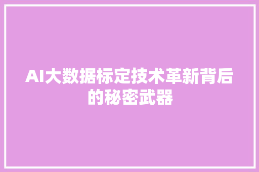 AI大数据标定技术革新背后的秘密武器