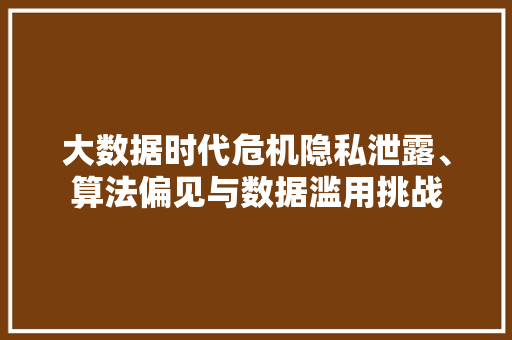 大数据时代危机隐私泄露、算法偏见与数据滥用挑战  第1张