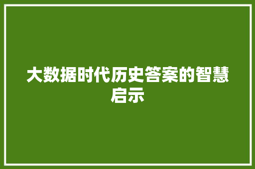 大数据时代历史答案的智慧启示