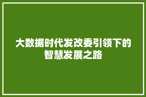 大数据时代发改委引领下的智慧发展之路  第1张