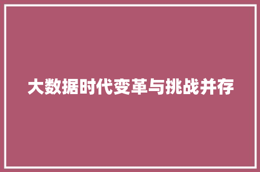 大数据时代变革与挑战并存