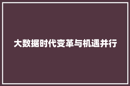大数据时代变革与机遇并行  第1张