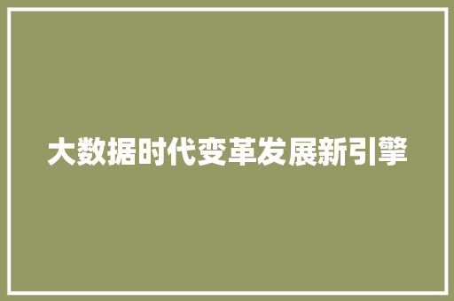 大数据时代变革发展新引擎  第1张