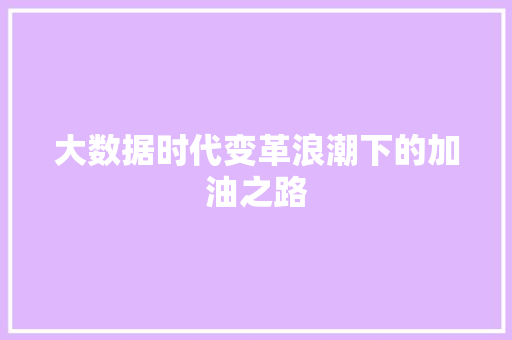 大数据时代变革浪潮下的加油之路  第1张