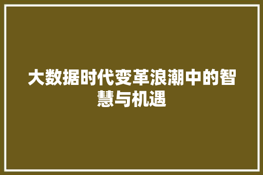 大数据时代变革浪潮中的智慧与机遇  第1张