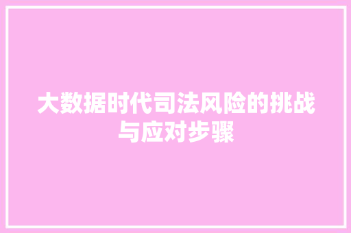 大数据时代司法风险的挑战与应对步骤  第1张