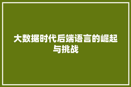 大数据时代后端语言的崛起与挑战