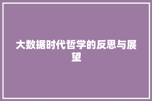 大数据时代哲学的反思与展望  第1张