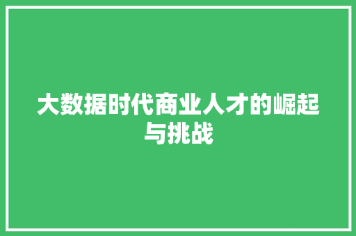 大数据时代商业人才的崛起与挑战