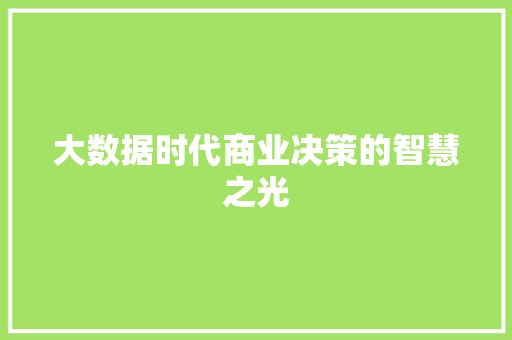 大数据时代商业决策的智慧之光  第1张