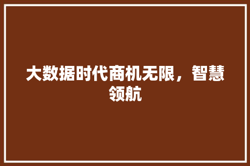 大数据时代商机无限，智慧领航
