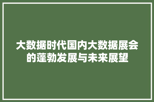 大数据时代国内大数据展会的蓬勃发展与未来展望