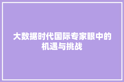 大数据时代国际专家眼中的机遇与挑战