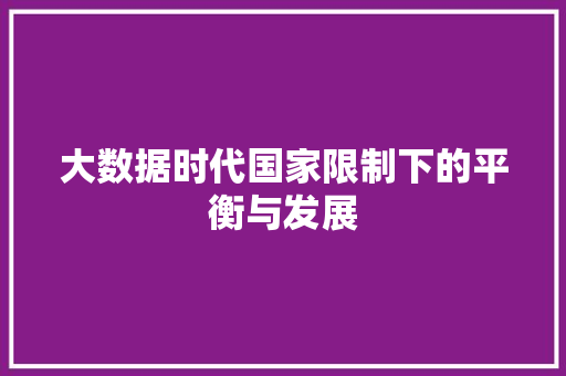大数据时代国家限制下的平衡与发展