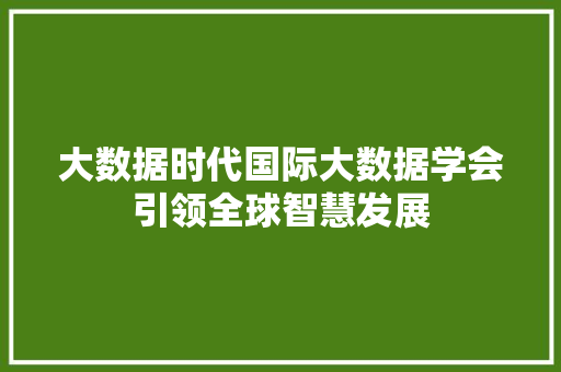 大数据时代国际大数据学会引领全球智慧发展