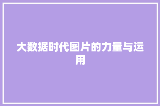 大数据时代图片的力量与运用  第1张