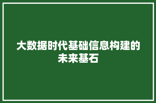 大数据时代基础信息构建的未来基石
