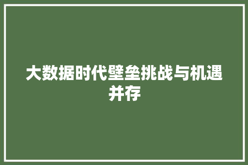 大数据时代壁垒挑战与机遇并存