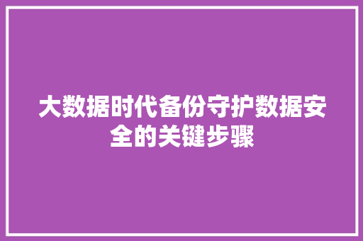 大数据时代备份守护数据安全的关键步骤