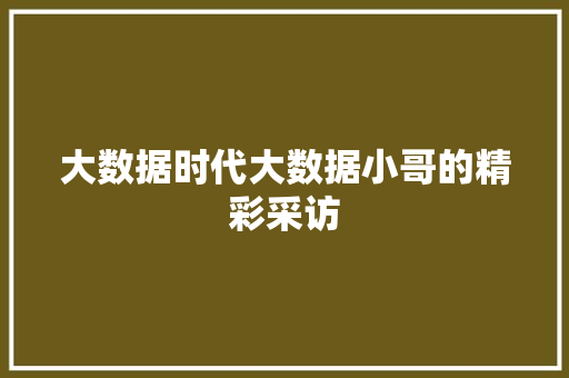 大数据时代大数据小哥的精彩采访