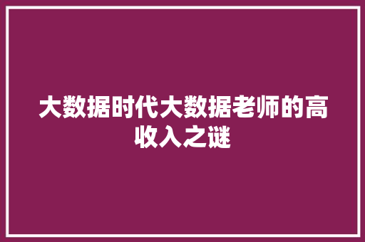 大数据时代大数据老师的高收入之谜