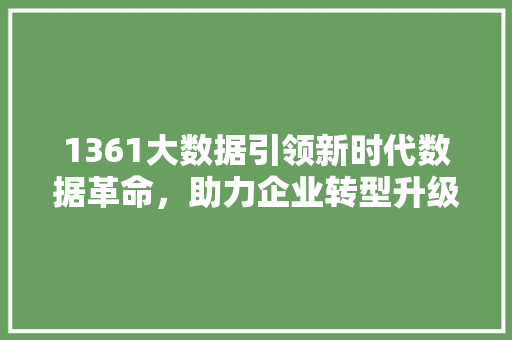 1361大数据引领新时代数据革命，助力企业转型升级