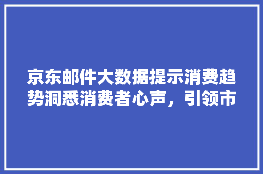 京东邮件大数据提示消费趋势洞悉消费者心声，引领市场风向标