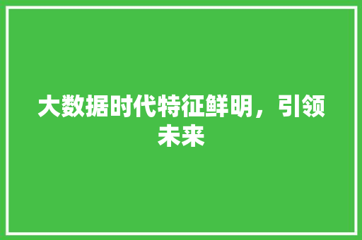 大数据时代特征鲜明，引领未来