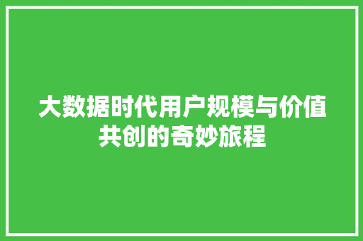 大数据时代用户规模与价值共创的奇妙旅程