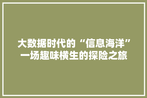 大数据时代的“信息海洋”一场趣味横生的探险之旅  第1张