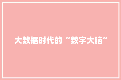 大数据时代的“数字大脑”