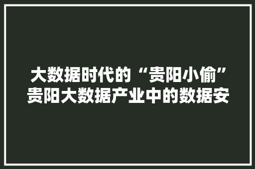 大数据时代的“贵阳小偷”贵阳大数据产业中的数据安全问题  第1张