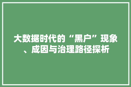 大数据时代的“黑户”现象、成因与治理路径探析  第1张