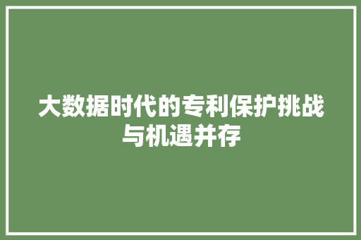 大数据时代的专利保护挑战与机遇并存  第1张