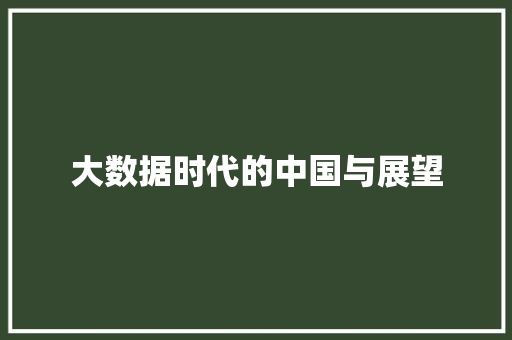 大数据时代的中国与展望