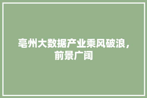 亳州大数据产业乘风破浪，前景广阔  第1张