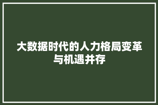 大数据时代的人力格局变革与机遇并存