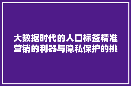 大数据时代的人口标签精准营销的利器与隐私保护的挑战