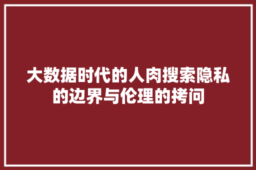 大数据时代的人肉搜索隐私的边界与伦理的拷问  第1张