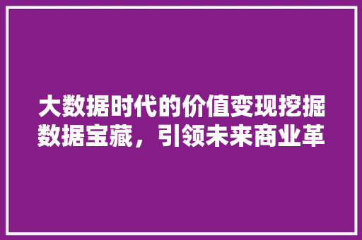 大数据时代的价值变现挖掘数据宝藏，引领未来商业革命