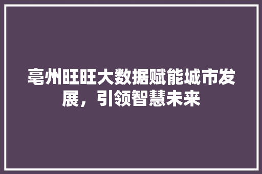 亳州旺旺大数据赋能城市发展，引领智慧未来