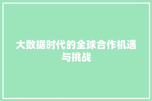 大数据时代的全球合作机遇与挑战
