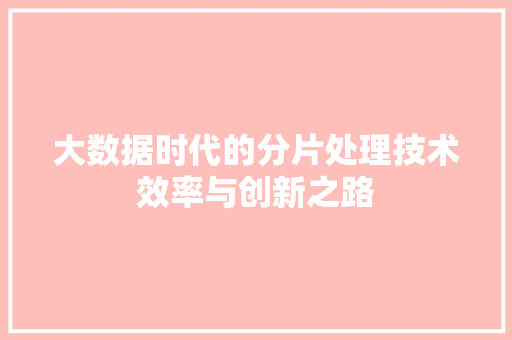 大数据时代的分片处理技术效率与创新之路