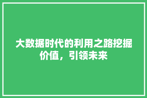 大数据时代的利用之路挖掘价值，引领未来  第1张