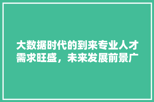 大数据时代的到来专业人才需求旺盛，未来发展前景广阔  第1张