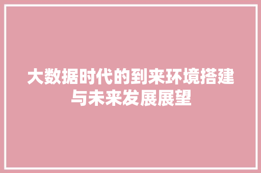 大数据时代的到来环境搭建与未来发展展望