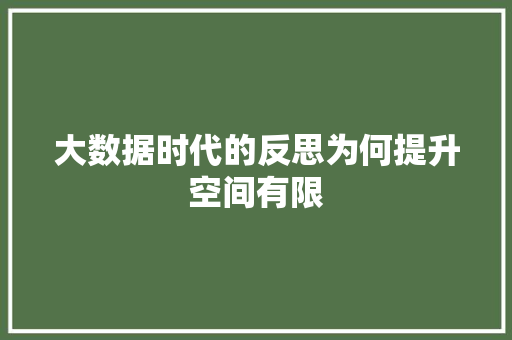 大数据时代的反思为何提升空间有限  第1张