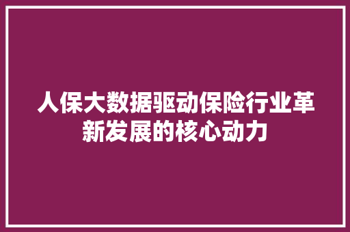 人保大数据驱动保险行业革新发展的核心动力  第1张